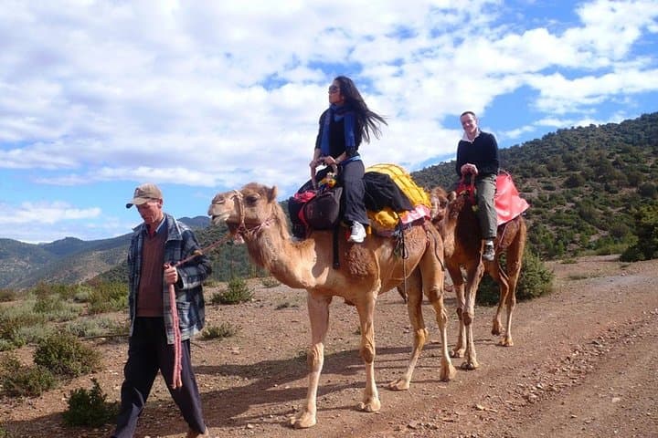 High Atlas Day Trip from Marrakech: Ourika Valley, Setti Fatma & Camel Ride photo 4
