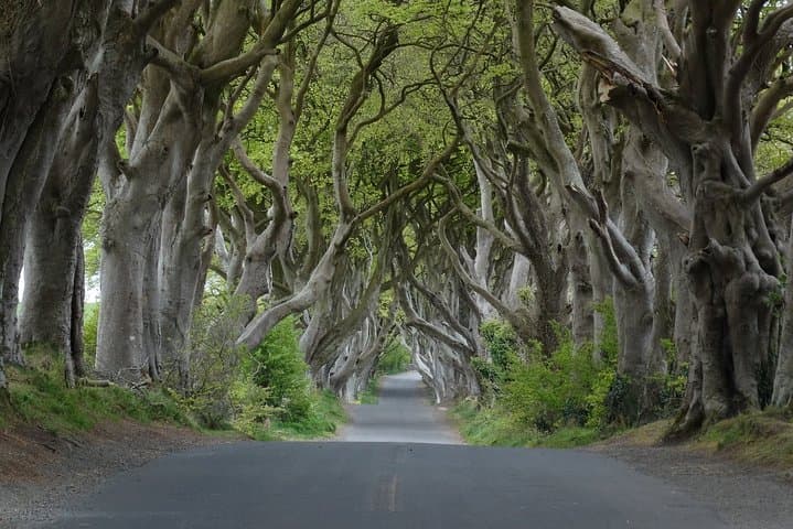 Giant's Causeway & Game of Thrones Private Tour from Belfast photo 2