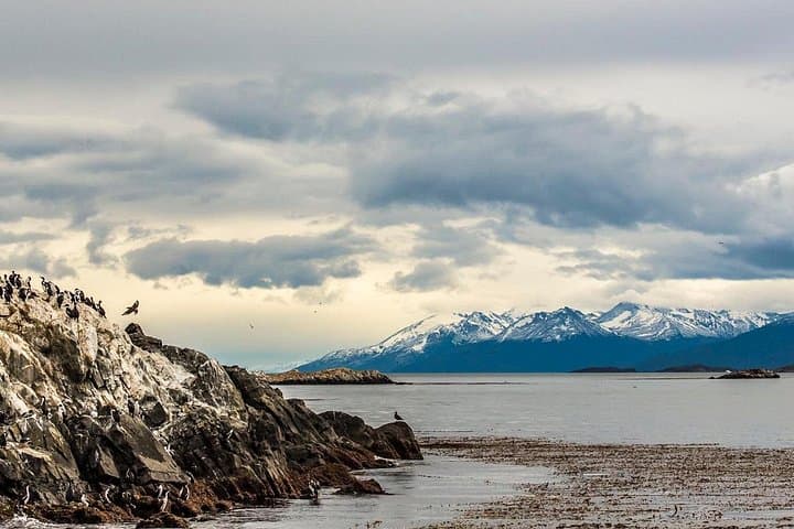 Sail the Beagle Channel on a Catamaran: Wildlife & Les Eclaireurs Lighthouse Cruise photo 2