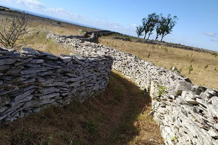 Discover Serra de Aire from Mendiga: Karst Walk & Cultural Immersion photo 4