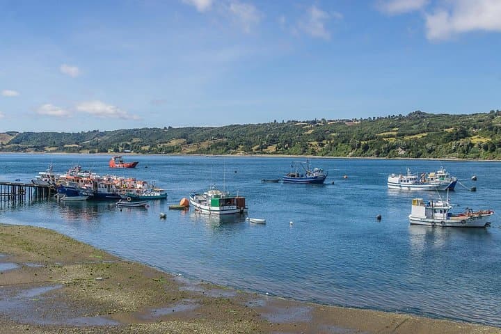Coastal Villages Tour of Chiloé from Castro — Dalcahue, Tenaún & Aucar Island photo 3