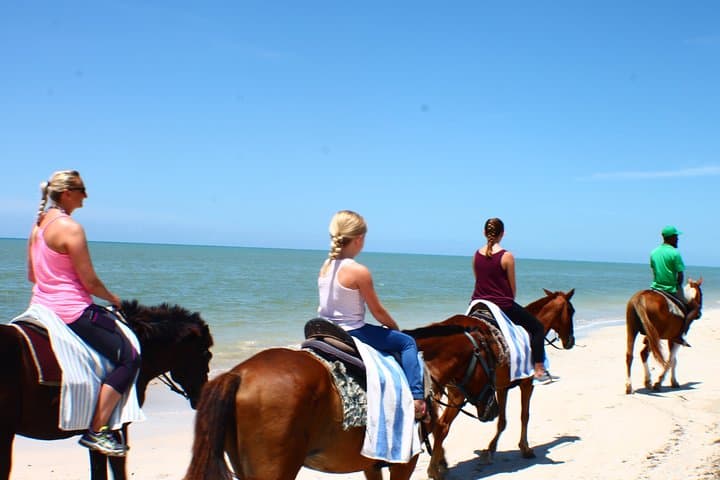 Ocho Rios Beach Horseback Ride and Swim with Private Transfer photo 6