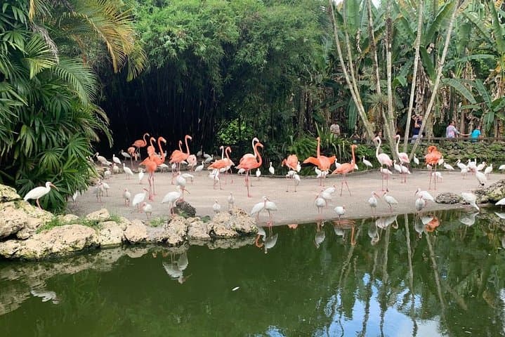 Flamingo Gardens Fort Lauderdale: 60-Acre Wildlife & Tropical Botanical Sanctuary photo 1