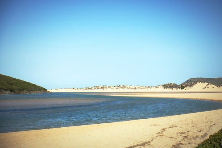 Paddle the Amoreira Estuary: Kayak Tour from Aljezur