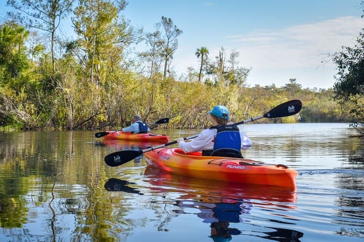 Everglades Guided Kayak Tour: Paddle Mangrove Tunnels & Cypress Ponds