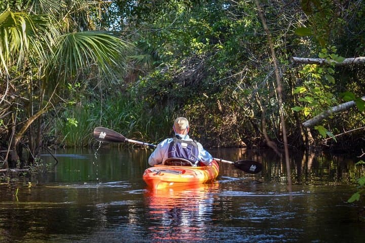 Everglades Guided Kayak Tour: Paddle Mangrove Tunnels & Cypress Ponds photo 2
