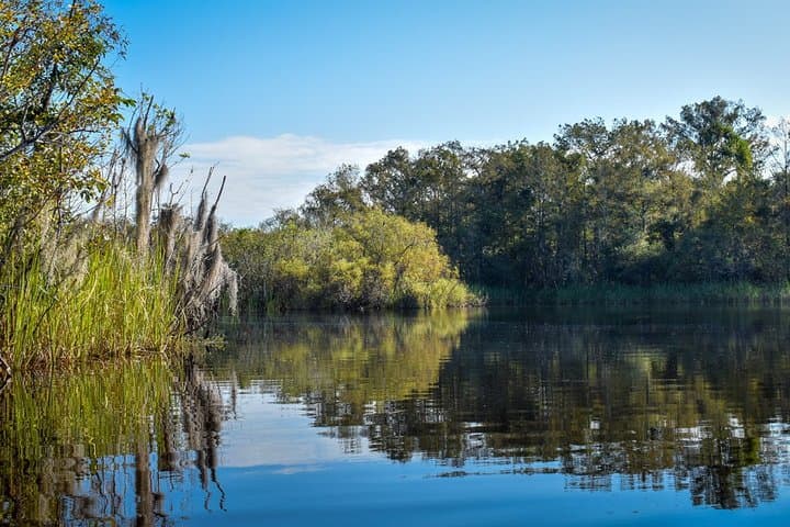 Everglades Guided Kayak Tour: Paddle Mangrove Tunnels & Cypress Ponds photo 5
