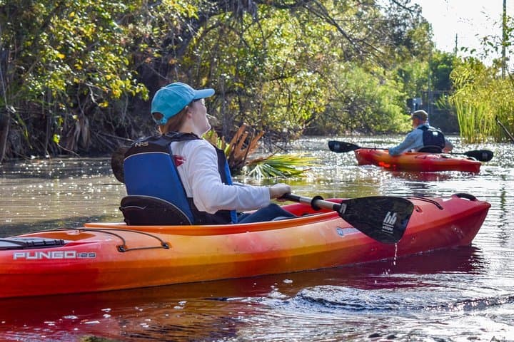 Everglades Guided Kayak Tour: Paddle Mangrove Tunnels & Cypress Ponds photo 4