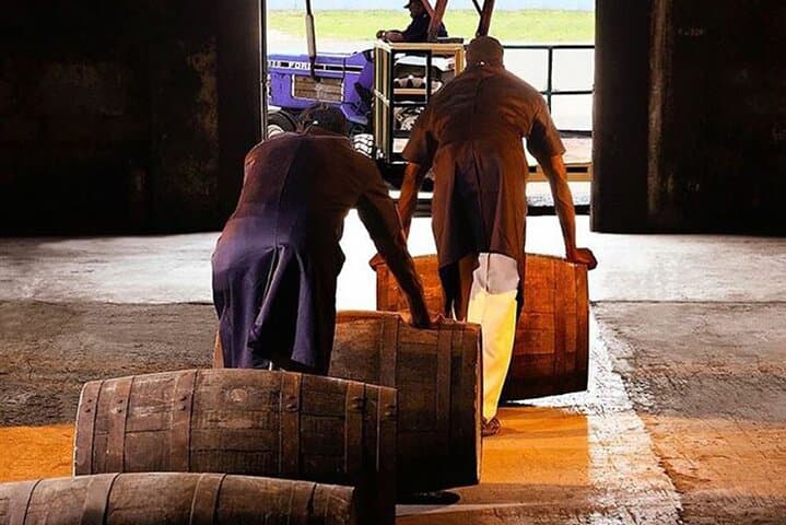 Appleton Estate Rum Private Tour from Montego Bay — Distillery Tasting & Sugar Cane Experience photo 6