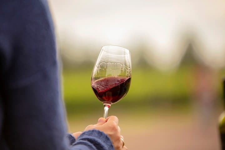 mendoza-5-day-wine-and-andes-adventure photo 6