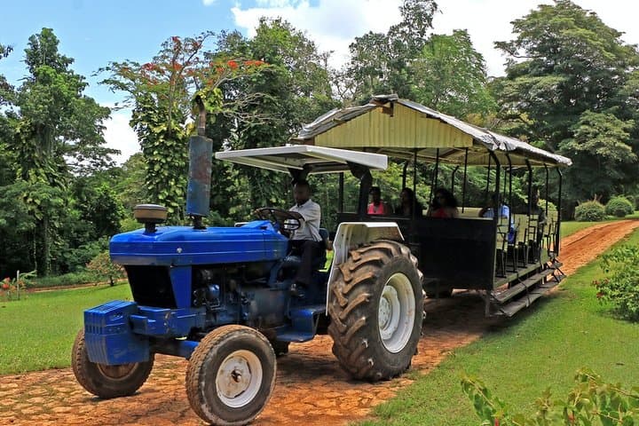 Private Transfer to Yaaman Adventure Park from Ocho Rios — Door-to-Door Adventure Shuttle photo 4