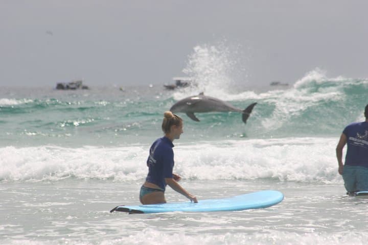 Learn to Surf on the Gold Coast: 2‑Hour Beginner Lesson with Photo Package