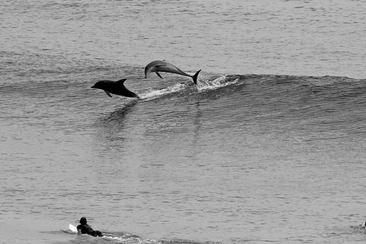 7-Day East Coast Surf Safari: Byron Bay to Coffs Harbour photo 3