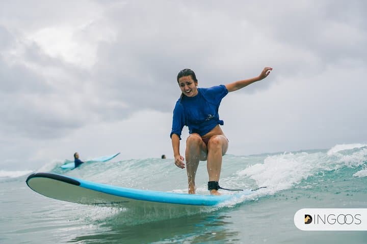 Gold Coast Full-Day Learn to Surf: Fingal Head Lessons & Whale Watching photo 4
