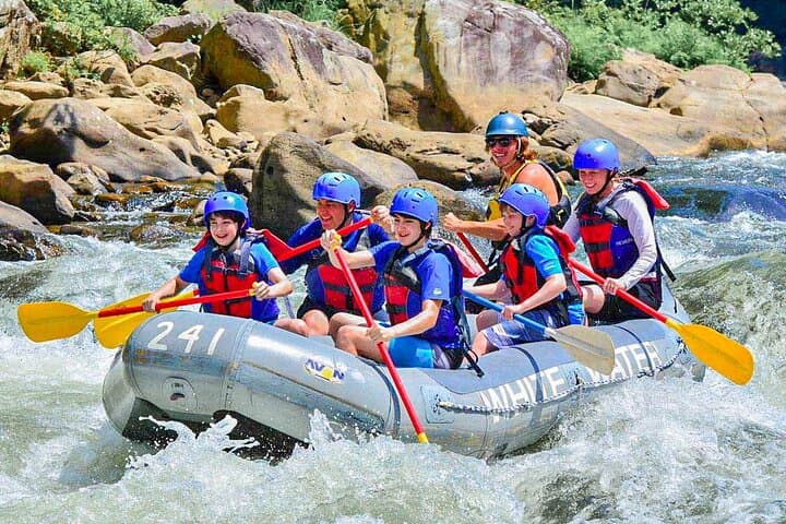 Kelani River White Water Rafting from Colombo — Kithulgala Half-Day Adventure photo 6