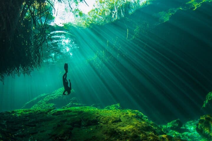 Freediving in a Tulum Cenote: Beginner Intro Course and Practical Guide photo 6