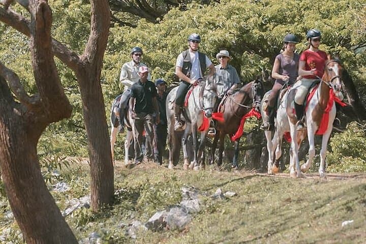 Seven-Day Sri Lanka Horseback Adventure: Beaches, Tea Plantations & Ancient Sites