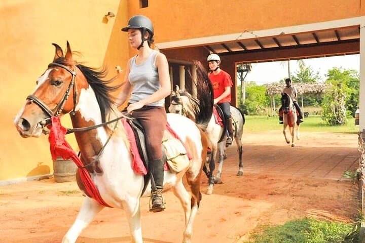 Seven-Day Sri Lanka Horseback Adventure: Beaches, Tea Plantations & Ancient Sites photo 3
