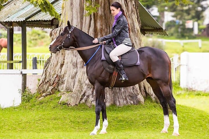 Seven-Day Sri Lanka Horseback Adventure: Beaches, Tea Plantations & Ancient Sites photo 5