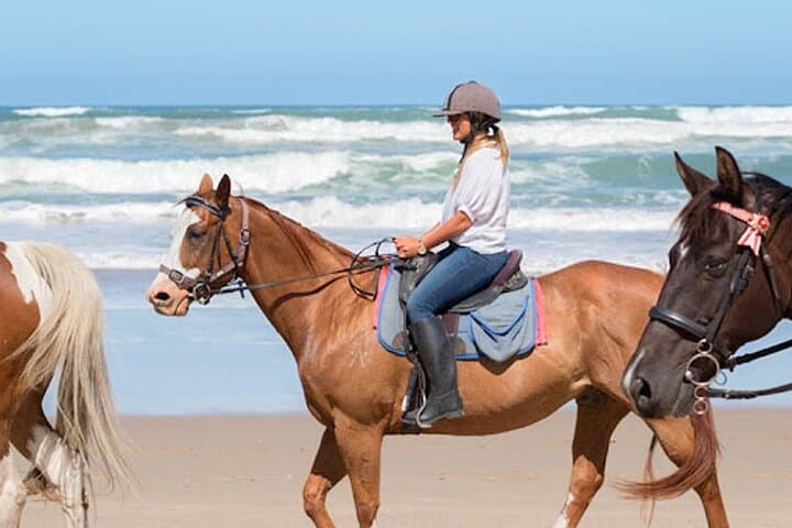 Seven-Day Sri Lanka Horseback Adventure: Beaches, Tea Plantations & Ancient Sites photo 6