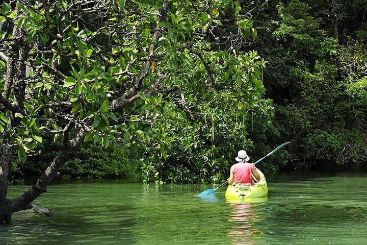 Canoeing the Mahaweli River from Kandy: Polgolla Morning Paddle photo 3