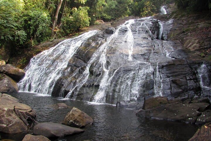 Sinharaja Rainforest Birdwatching Walk from Mount Lavinia — Guided Day Trip photo 4