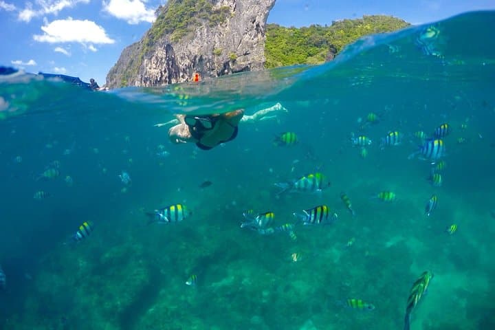 Day Trip to Phi Phi Islands: Phuket Express Ferry with Lunch & Snorkeling photo 5