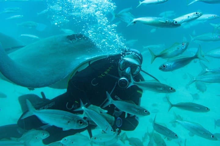 Scuba Diving in Hikkaduwa: Coral Gardens, Turtles & PADI Courses photo 2