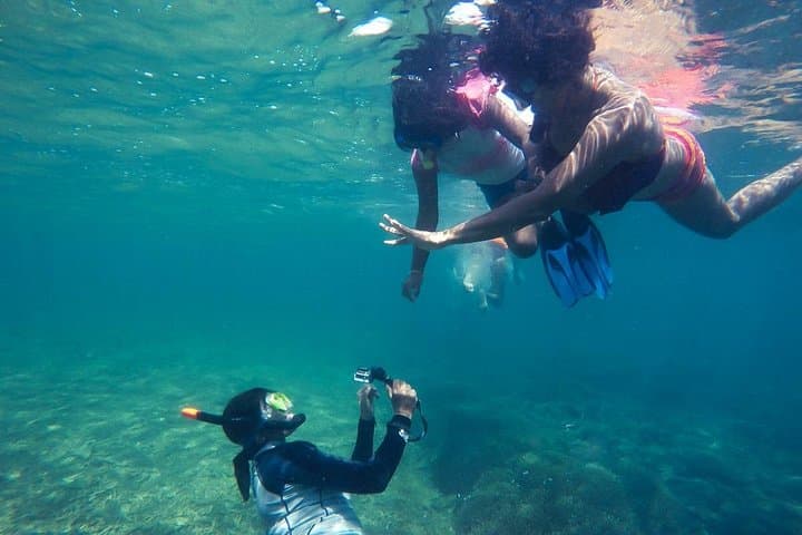 Snorkeling in Bentota: 2-Hour Coral Reef Trip & Coastal Marine Life photo 4