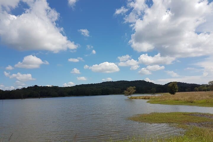 Kaudulla National Park Wildlife Safari — Elephant Encounters Near Habarana photo 3