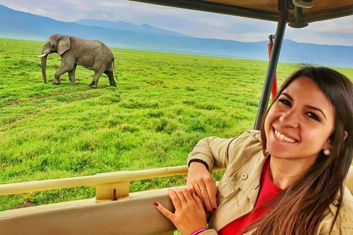 Ngorongoro Crater & Lake Manyara: 2-Day Short Safari from Arusha photo 1