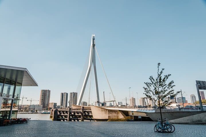 Rotterdam Private Architecture Walking Tour: Central Station, Cube Houses & Erasmus Bridge photo 6