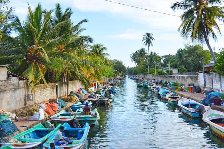 Negombo City Tour from Mount Lavinia: Fish Market, Dutch Fort & Hamilton Canal photo 3