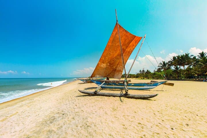 Negombo City Tour from Mount Lavinia: Fish Market, Dutch Fort & Hamilton Canal