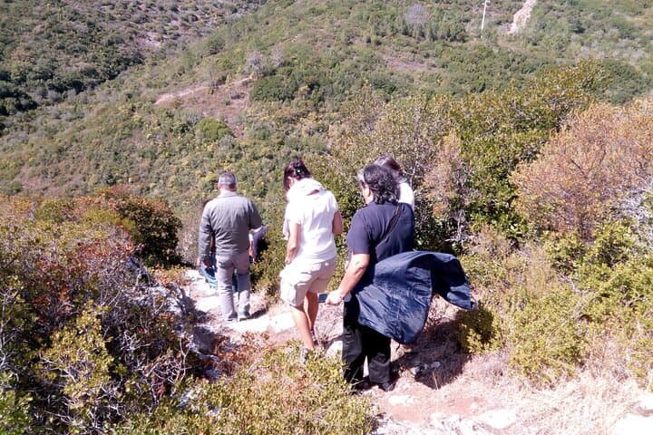 Between Rocks and Silences — Geological Walk in Portugal's Serra de Aire e Candeeiros photo 6