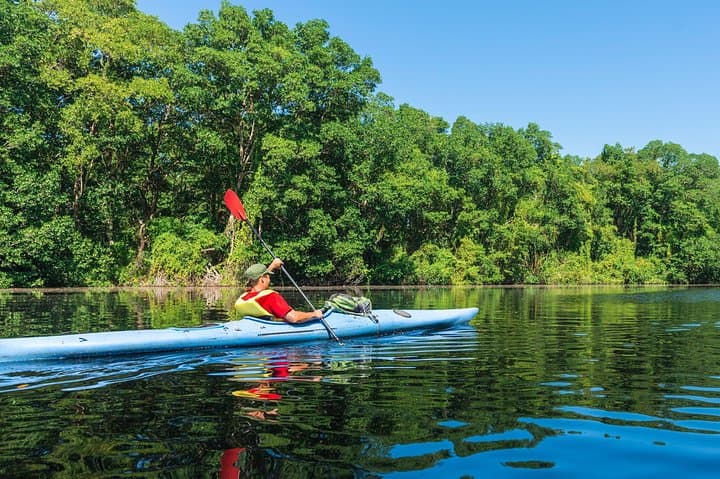 Flat-Water Kayaking on the Kelani River: Day Paddle from Kitulgala