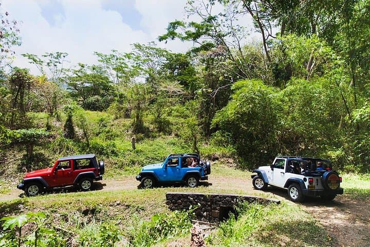 Classic Open-Top Jeep Village Tour and Sigiriya Views from Habarana photo 4