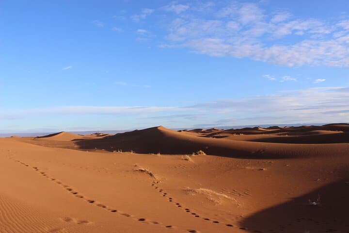 8-Day Morocco Desert Trek: Dunes, Dromedaries & Aït Ben Haddou photo 6