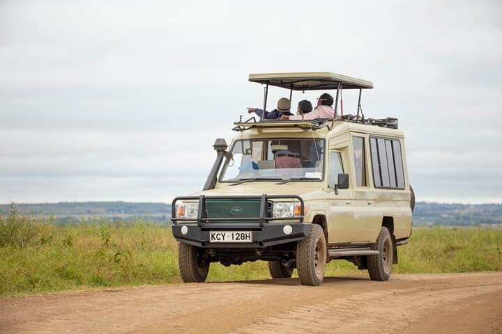 Explore Nairobi National Park: A Half-Day Private Safari in Kenya’s Unique Urban Wilderness photo 3