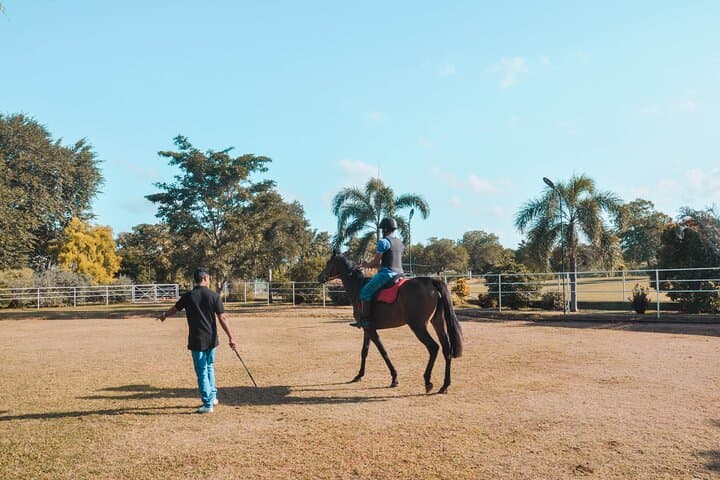 Beginner Horse Riding Near Sigiriya: ForestPark Riding Center Experience photo 4