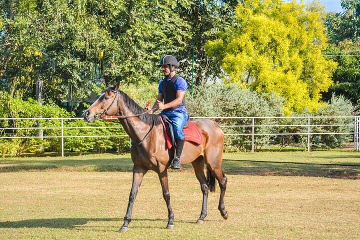 Beginner Horse Riding Near Sigiriya: ForestPark Riding Center Experience photo 5