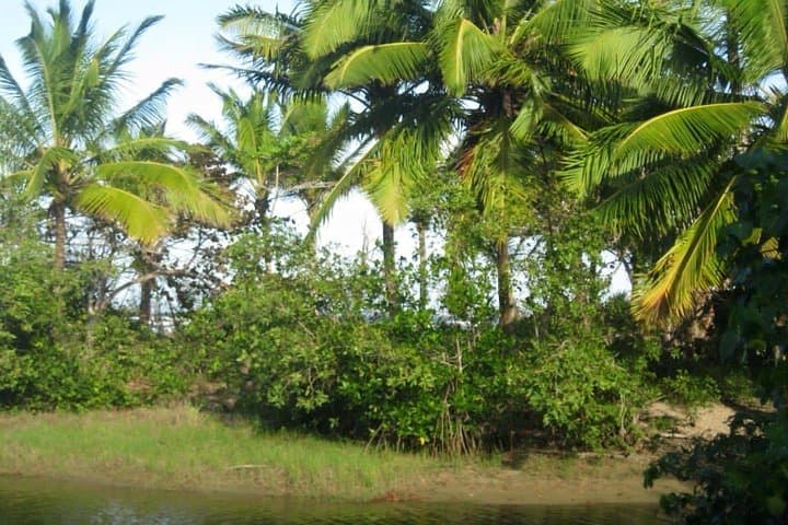 Mountain Horseback Riding in Puerto Plata: 2-Hour Guided Trail Ride with Photo Stop photo 3
