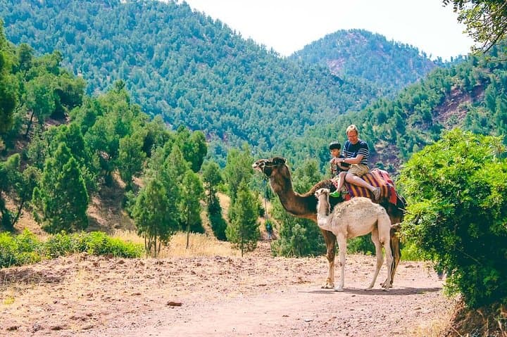 Atlas Mountains Day Tour: Imlil Valley, Toubkal Massif & Waterfalls from Marrakech photo 2
