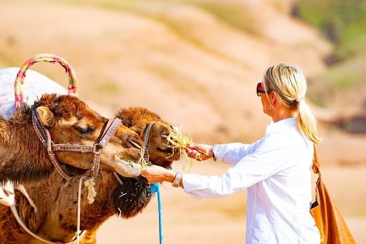 Agafay Desert Camel Safari & Berber Villages Day Trip from Marrakech