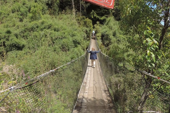 Lemuy Island day tour from Castro — churches, coastal forest & birdwatching photo 4
