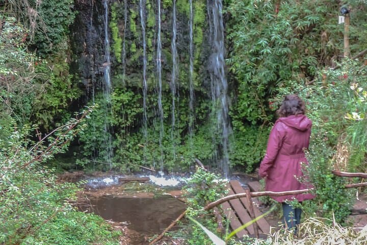 Lemuy Island day tour from Castro — churches, coastal forest & birdwatching photo 6