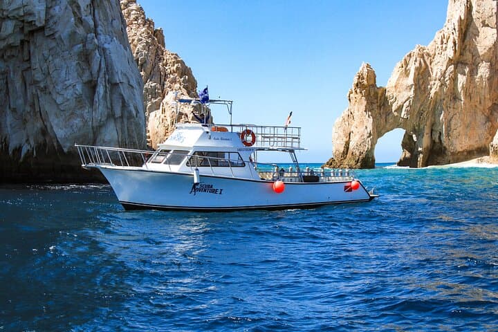Cabo San Lucas 2-Tank Dive at Land's End: Explore The Arch, Sea Lion Colony & Underwater Sandfalls photo 6