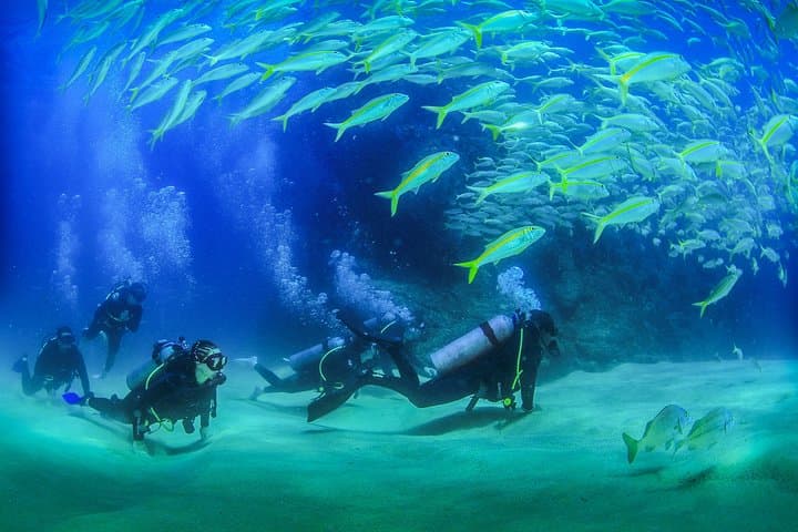 Cabo San Lucas 2-Tank Dive at Land's End: Explore The Arch, Sea Lion Colony & Underwater Sandfalls