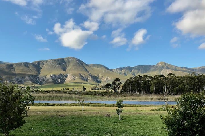 Stanford Mountain Ride: 2-Hour Horseback Trail through the Cape Floral Kingdom photo 4
