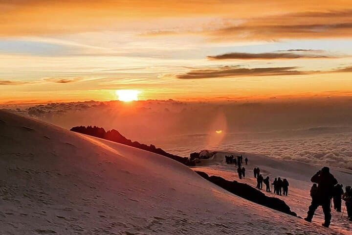 8-Day Kilimanjaro Trek: Summit Africa's Highest Peak photo 6